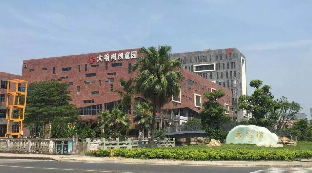 大榕树 (2) 拷贝